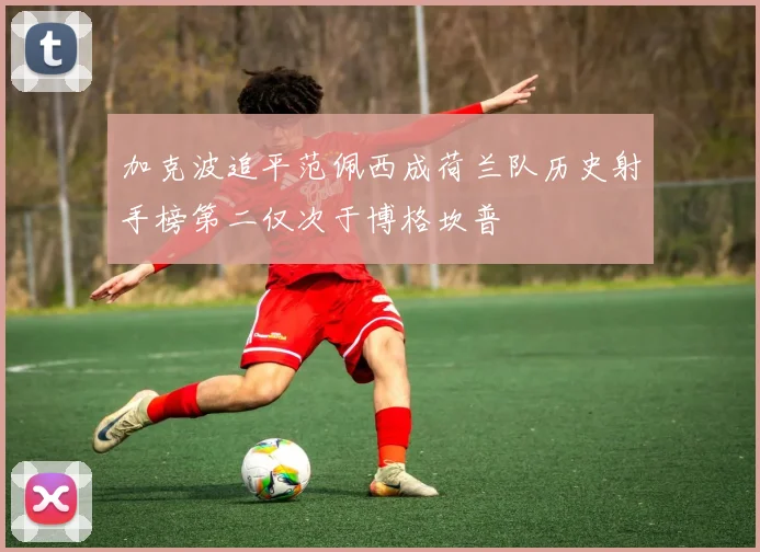 加克波追平范佩西成荷兰队历史射手榜第二仅次于博格坎普